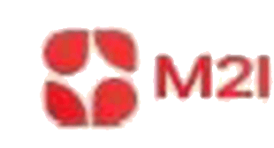 M2i