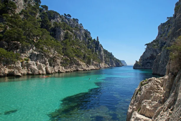 Action environnementale de terrain